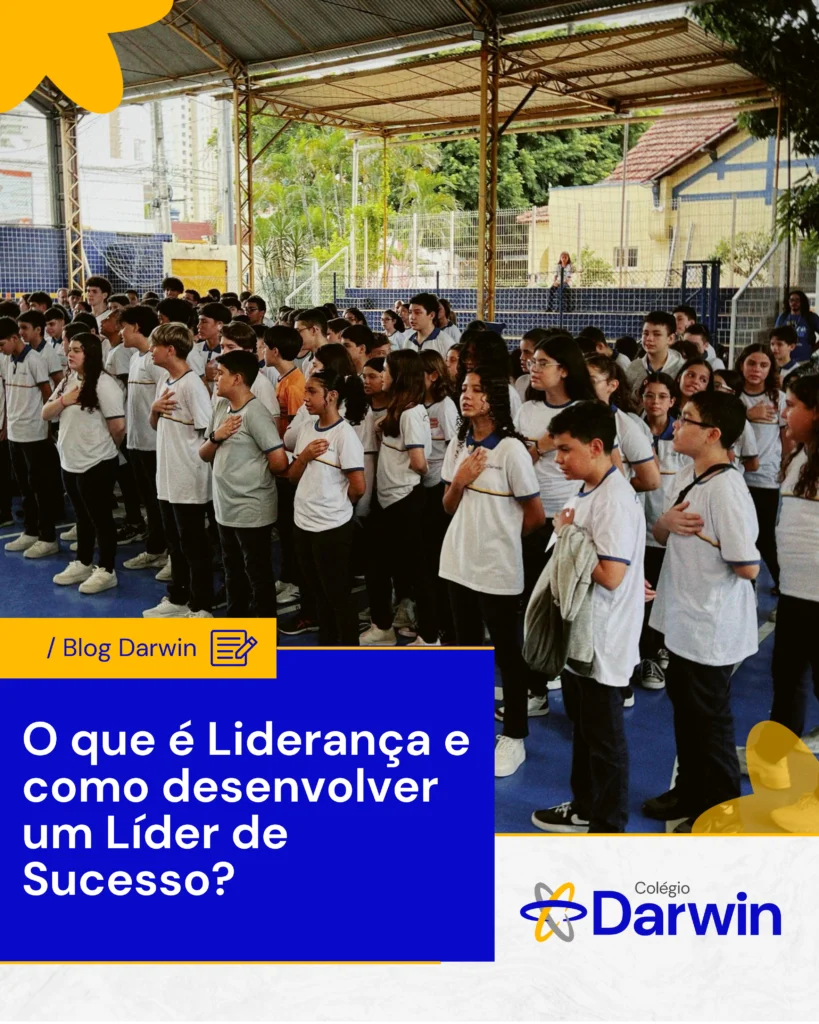O que é Liderança e como desenvolver um Líder de Sucesso? 16 Template Blog Darwin 7
